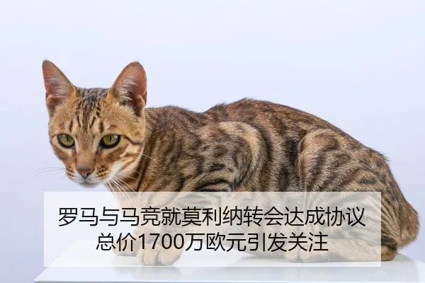 罗马与马竞就莫利纳转会达成协议 总价1700万欧元引发关注